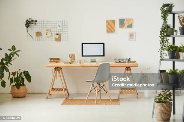 Comfortable Workplace With Potted Plants Wall Organizer Pictures And Computer Stock Photo - Download Image Now
