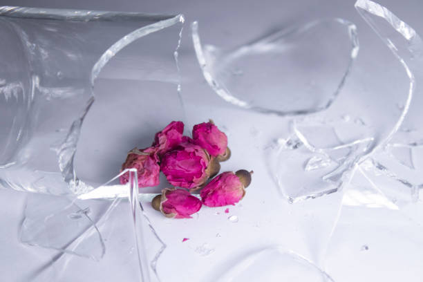 Broken Roses Stock Photos, Pictures & Royalty-Free Images - iStock