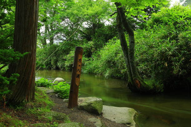 istock Tono City, Iwate Prefecture Summer Stream 1254648970