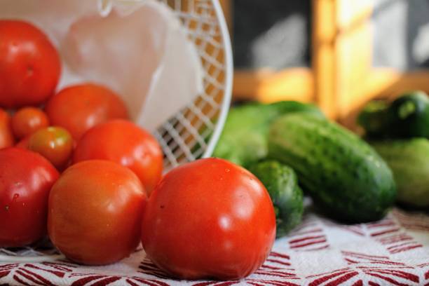istock tomatoes and cucumbers from the garden 1254651654