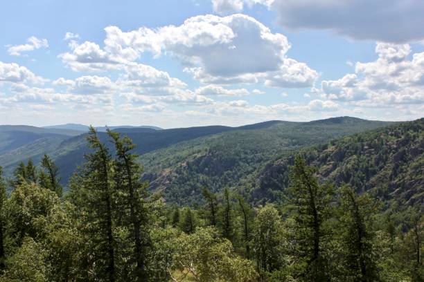 istock Pictured summer panoramic landscape with mountains and lakes. A tree with a mountain in the background 1254651717