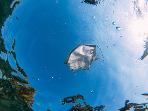 istock Single-Use Masks are Polluting Oceans 1254670745