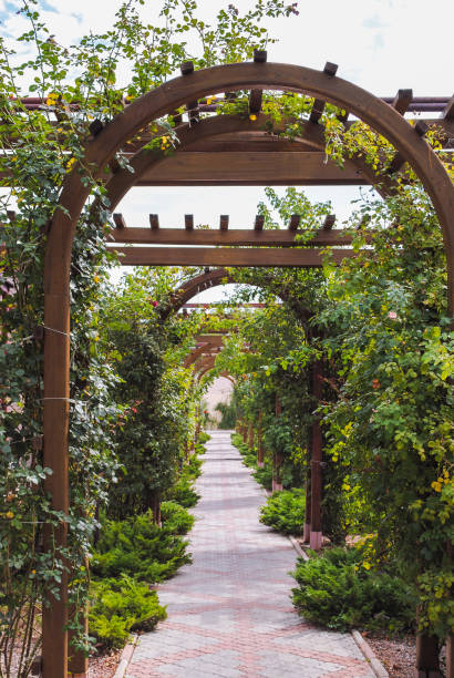 istock Wooden arch from plants over a path from a tile going into perspective 1254671535