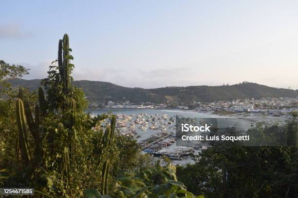 Blue Sea Horizon With Hills And Cactus Arraial Do Cabo Cabo Frio Praia Dos Anjos Stock Photo - Download Image Now