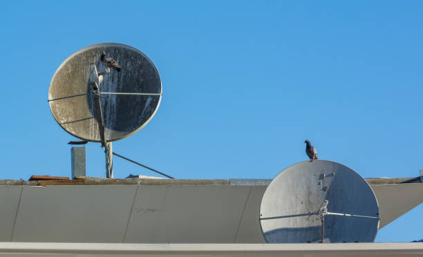 istock Satellite dishes with doves 1254674661