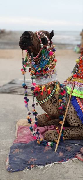istock Decorated camel at fair India 1254674770