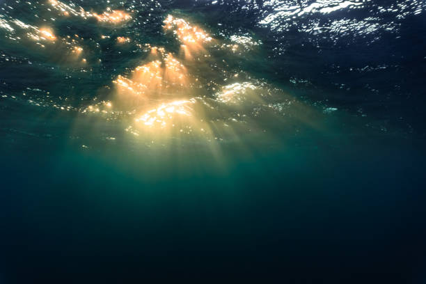 istock Rays of sunlight refracting through the surface of the deep, blue mediterranean sea. 1254678957