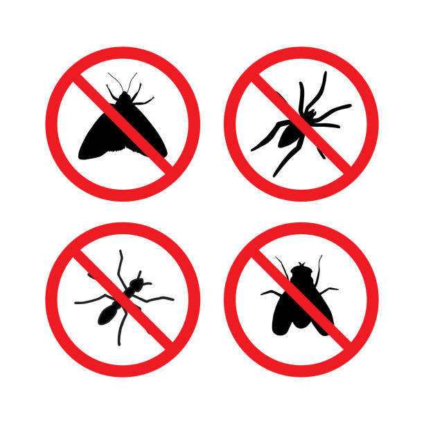 Wasp Control Sign 170+ Wasp Warning Signs Stock Illustrations, Royalty-Free Vector ...