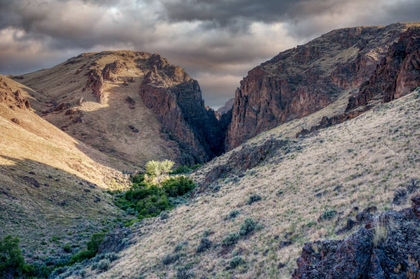 istock Rocky canyon in summer time 1254679151