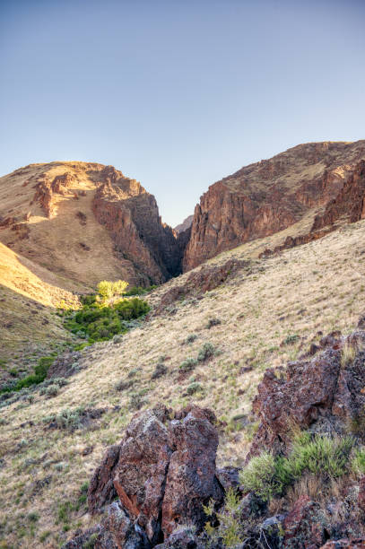 istock Rocky canyon in summer time 1254679183