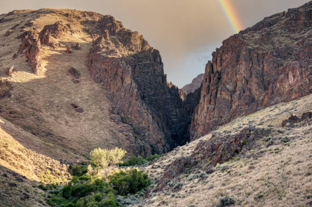 istock Rocky canyon in summer time 1254679192