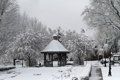 A heavy spring snow powders the trees and grounds of Buxton Park in Indianola, Iowa, USA.