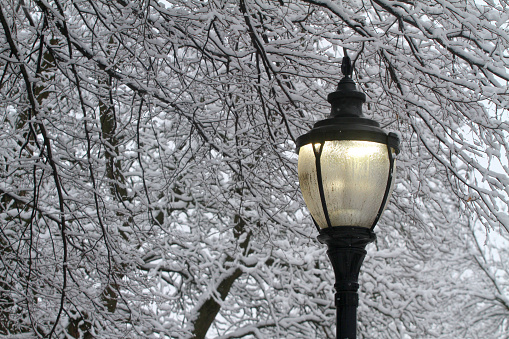 A fresh spring snow powders tree branches surrounding a vintage-style street light.