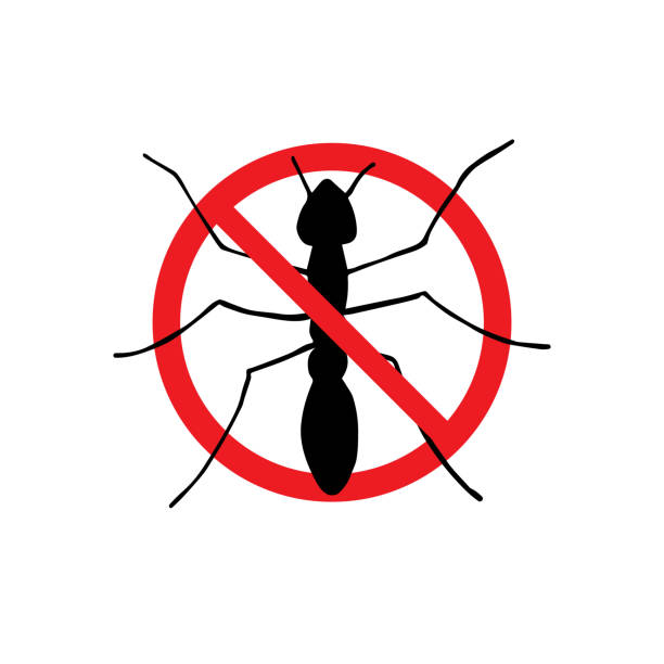 Vector black ant silhouette crossed in red circle Vector black ant silhouette crossed in red circle isolated on white background. No moth insects sign pest control logos silhouette stock illustrations