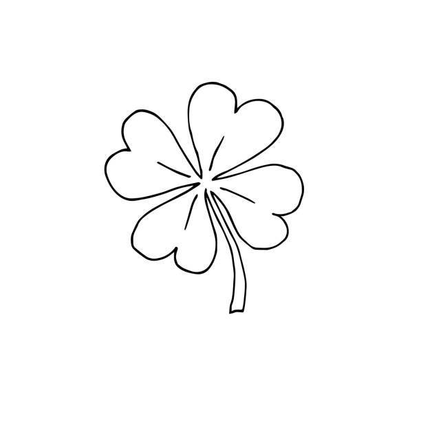 ilustrações, clipart, desenhos animados e ícones de vetor desenhado à mão esboço shamrock trevo - spring clover leaf shape clover sketch