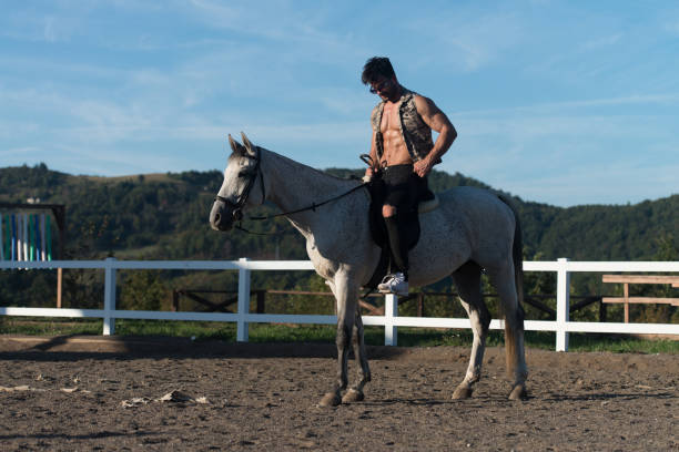 istock Man Riding a Horse on Beautiful Sunny Day 1254683829