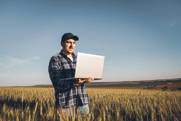 istock Young Modern Farmer Controlled Harvesting On His Agriculture Field 1254683979