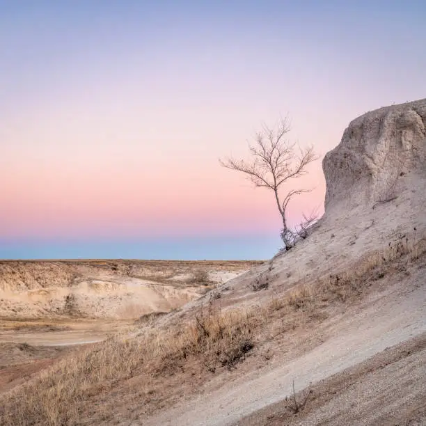 Winter dusk over prairie and badlands in Pawnee National Grassland with a lonely tree