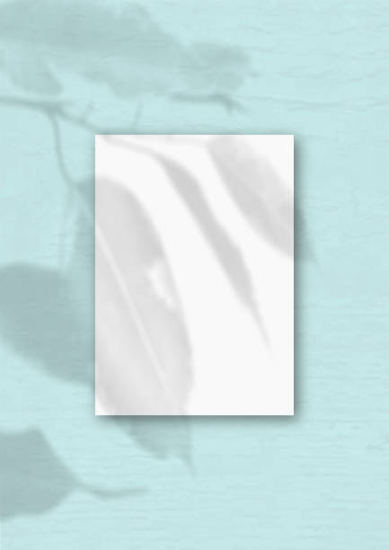 istock The vertical sheet of white textured A4 paper on the blue wall background. Mockup overlay with the plant shadows. Natural light casts shadows from an exotic plant 1254690681