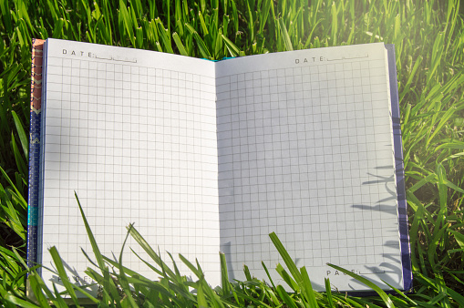 On the grass lies an open notebook with white sheets. The Layout Of The Background. Open book, back to school.