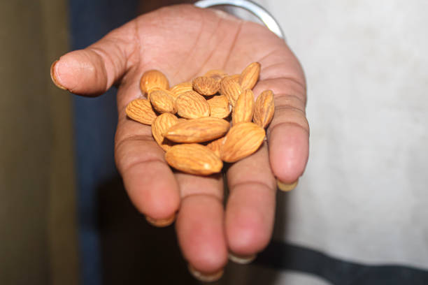 amandes sur les mains - indian nut photos et images de collection