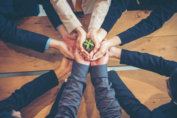 réunion d’affaires verte. united partners team avec les mains ensemble tenant des amis de confiance vert usine. mains empilées tenue avec des partenaires de durabilité. faites confiance aux affaires authentiques des gens. - groupe moyen de personnes photos et images de collection