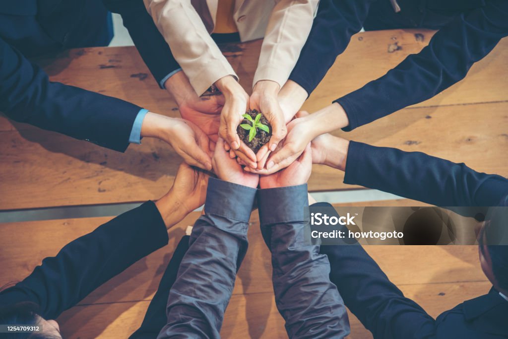 Green Business Meeting. United Partners Team with hands together holding plant green trusted friends. Hands stacked Holding with sustainability partners. Trust business authentic of people. Business Stock Photo