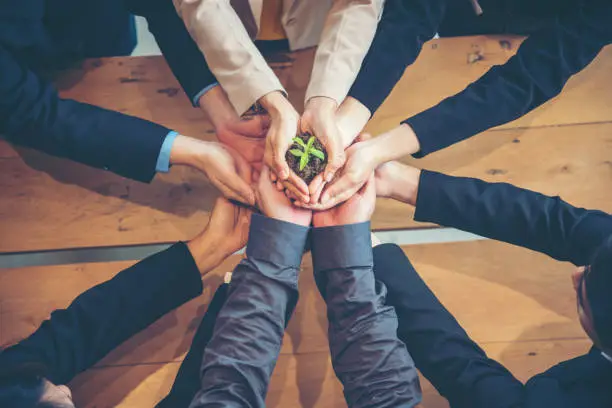 Photo of Green Business Meeting. United Partners Team with hands together holding plant green trusted friends. Hands stacked Holding with sustainability partners. Trust business authentic of people.