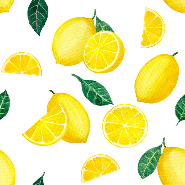 żółty owoc cytrynowy i pokrojone w plastry limonki i zielone liście, ilustracja akwarela rysunek bez szwu wzór, wyizolowany na białym ze ścieżką przycinania - lemon isolated clipping path white background stock illustrations