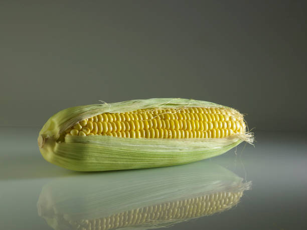 maize