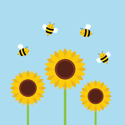 Sunflower Garden With Flying Bees Beautiful Summer Background Cartoon  Vector Illustration Stock Illustration - Download Image Now - iStock