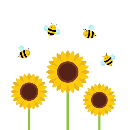 Sunflower garden with flying bees, beautiful summer background vector illustration. Kawaii style