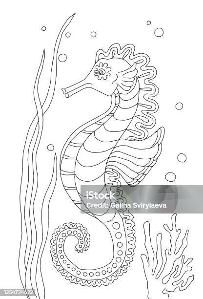Cute Sea Star Coloring Book Page For Kids Cartoon Cute Marine Wild Animals  Sea Elements Illustration Black And White Hand Drawn Doodle For Coloring  Book Ocean Animal Stock Illustration - Download Image