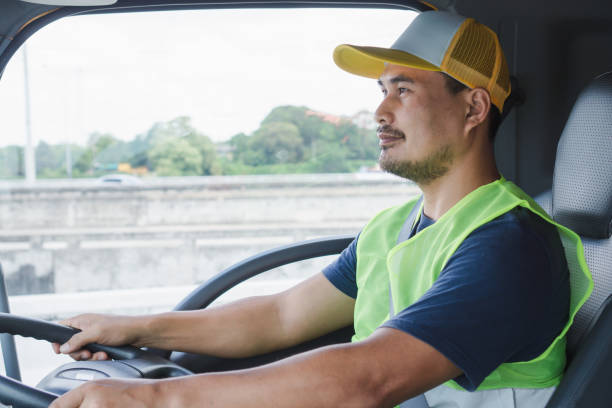 istock Professional truck driver to transport 1254726850
