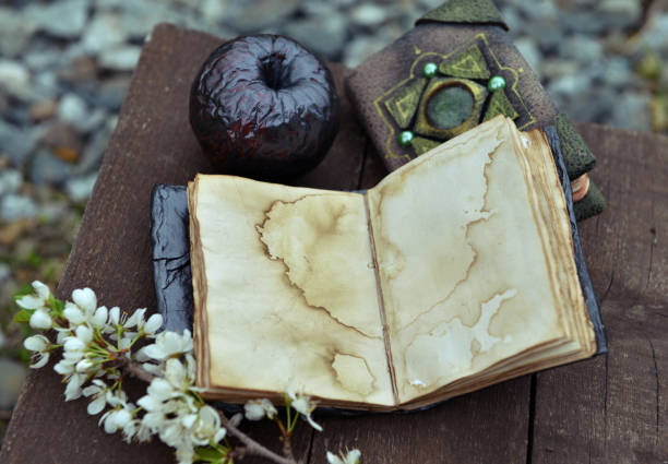 istock Open diary with empty pages, black apple and blooming branch on planks. 1254728235