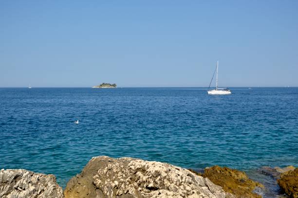 istock rocky beach in Rovinj, Croatia 1254728829