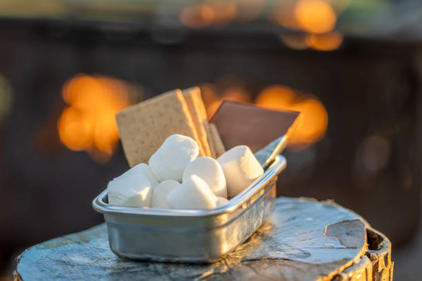 S'more kit Close-up of marshmallows, graham crackers, and chocolate (s'mores), around a campfire. smore photos stock pictures, royalty-free photos & images
