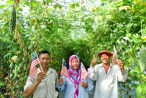 A multi ethnic farmers (Indonesian man and woman with their Bangladeshi colleague) are waving Malaysian flag at bitter gourd organic greenhouse in Malaysia.