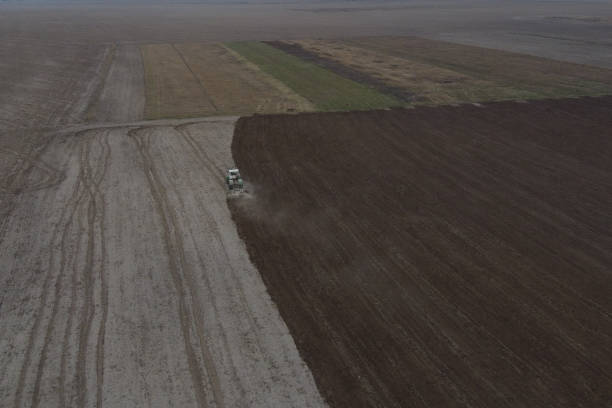 Tractor plows a field, aerial view. Agricultural landscape.