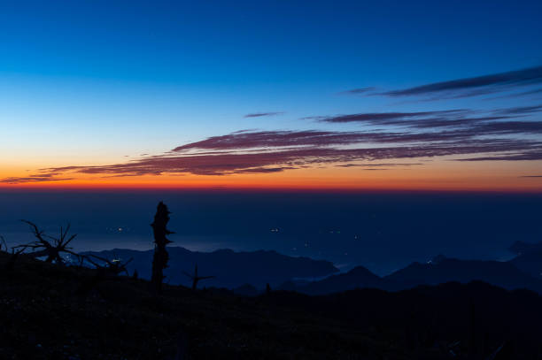 istock The sky, sea and trees at dawn 1254732754