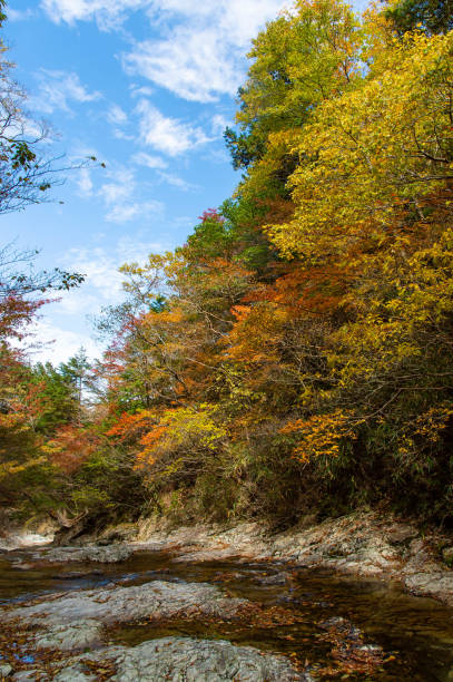 istock Mountain plants and valleys of many colors 1254734086