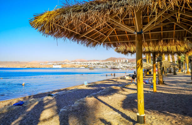 istock Swimming morning at a sandy beach 1254739087