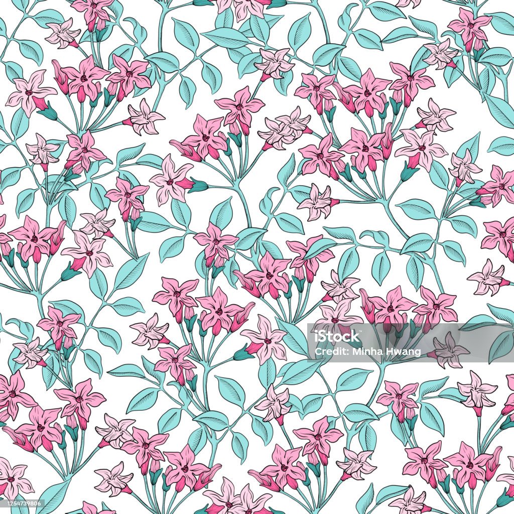 Pink Jasmine Flower Pattern Stock Illustration - Download Image Now -  Illustration, Jasmine, Retro Style - iStock