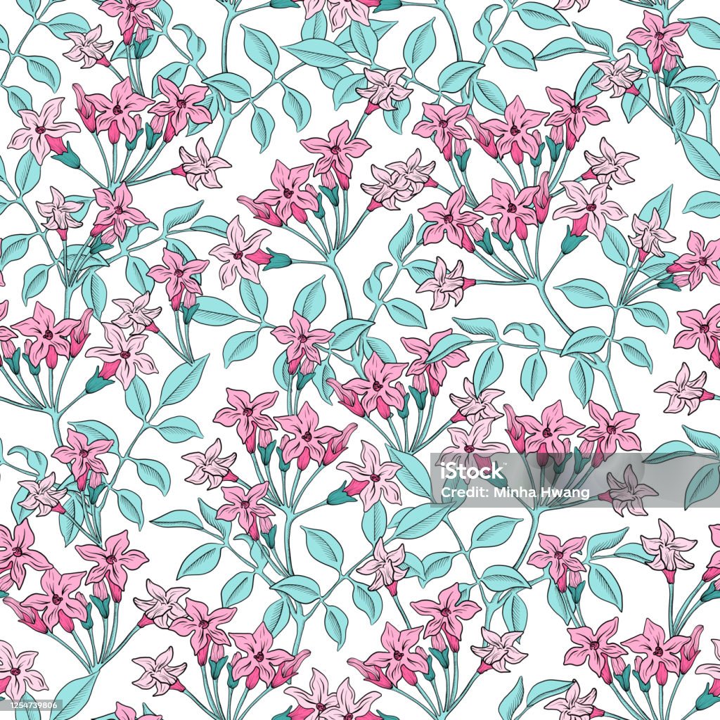 Pink Jasmine Flower Pattern Stock Illustration - Download Image Now - Illustration, Jasmine, Retro Style - iStock Pink Jasmine Flower Pattern Stock Illustration - Download Image Now - Illustration, Jasmine, Retro Style - iStock