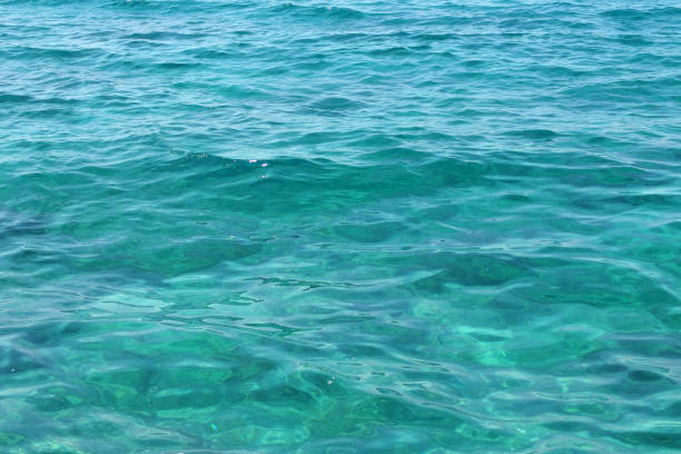 istock transparent calm tirquoise sea surface background 1254741884