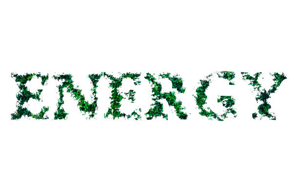 istock Energy word from leaves isolated on white background. Eco-friendly concept. 1254742673