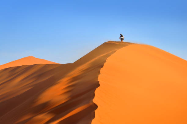 istock African Namib desert, Deadvlei, Sossusvlei in Namibia 1254744829