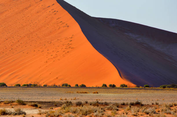 istock African Namib desert, Deadvlei, Sossusvlei in Namibia 1254744853