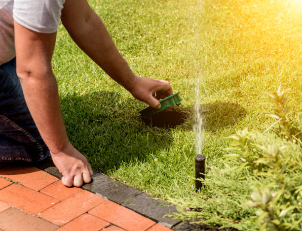 istock Irrigation system watering garden lawn. Landscape design. 1254745011