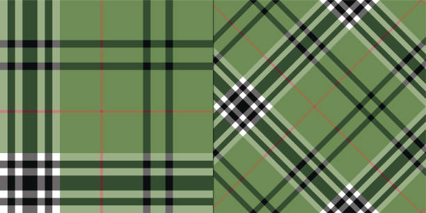 illustrations, cliparts, dessins animés et icônes de modèle à carreaux vectoriel s’il vous y a de façon transparente. fond de tartan. motif classique. pour le tissu, le design, le textile, l’emballage, le couvercle, etc. - tartan plaid textured pattern